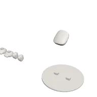 Plate 4